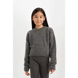 Kız Çocuk Standart Fit Bisiklet Yaka Basic Düz Triko Kazak C6908A824AU