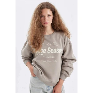 Loose Fit Bisiklet Yaka Baskılı Kalın Sweatshirt C7814AX24WN