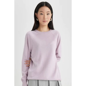 Regular Fit Yumuşak Dokulu Bisiklet Yaka Reglan Kol Basic Düz Triko Kazak I6913AZ24WN