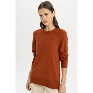 Regular Fit Yumuşak Dokulu Bisiklet Yaka Reglan Kol Basic Düz Triko Kazak I6913AZ24WN