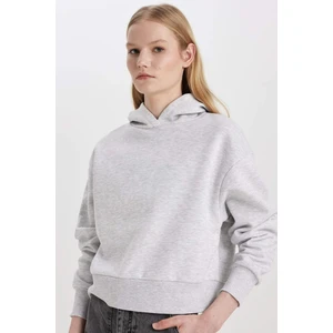Boxy Fit Kapüşonlu Kalın Basic Düz Sweatshirt B8570AX24SP