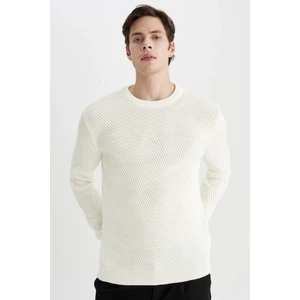 Standart Fit Normal Kesim Bisiklet Yaka Triko Kazak C0048AX24AU