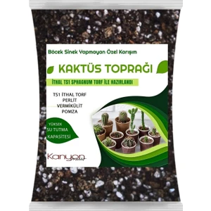 Plant Home Power Mix 3 Litre Kaktüs Toprağı - Böcek Sinek Yapmayan Toprak