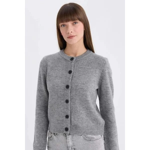 Regular Fit Bisiklet Yaka Basic Düz Düğmeli Soft Touch Yumuşak Triko Hırka E3654AX25SP