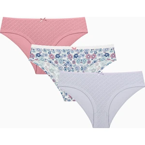 Spring Garden Pamuklu 3lü Pointel Hipster Çok Renkli Külot