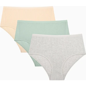 Smooth 3lü Pointel Highwaist Çok Renkli Slip Külot