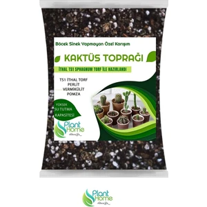 Plant Home Power Mix 10 Litre Premium Kaktüs Toprağı - Böcek Sinek Yapmayan Preimum Toprak