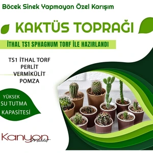 Plant Home Power Mix 5 Litre Kaktüs Toprağı  Böcek Sinek Yapmayan Premium Kalite