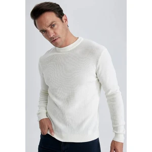 Standart Fit Normal Kesim Bisiklet Yaka Muline Desenli Triko Kazak A5181AX23AU