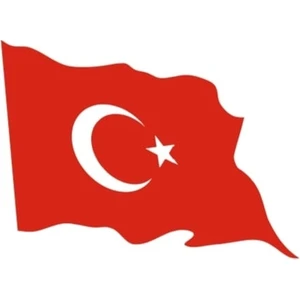 Reklam Dalgalanan Türk Bayrağı  Sticker
