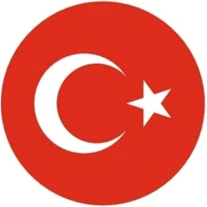 Reklam Türk Bayrağı Oval Sticker