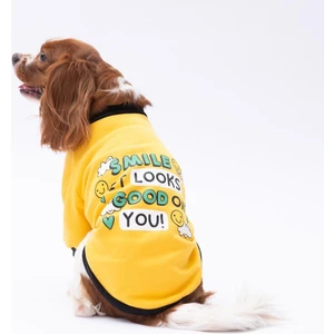 Yellow Loviisa Polarlı Küçük Irk Köpek Sweatshirtü