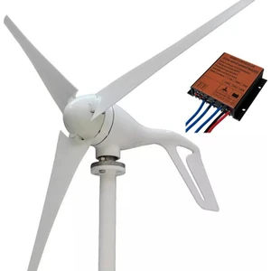 300W Horizontal Rüzgar Gülü 12V