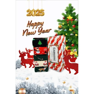 5'li Yılbaşı Christmas Desenli Renkli Hediye Çorap Kutusu