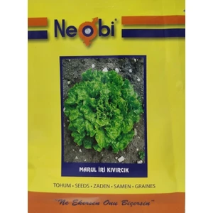 Cegel Ziraat Neobi Marul İri Kıvırcık 10gr