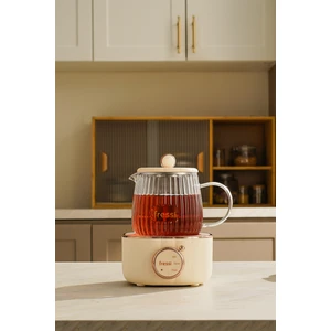 FR-KT02 600ML 400W Elektrikli Çok Fonksiyonlu Cam Su Isıtıcısı Kettle Bitki Çayı Makinesi