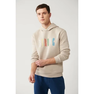 Erkek Taş Kapüşonlu 3 Iplik Şardonlu Nakışlı Sweatshirt A32y1380