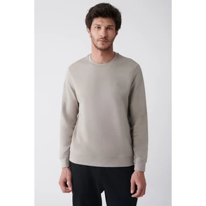 Erkek Taş Bisiklet Yaka Pamuklu 2 Iplik Şardonsuz Sweatshirt E001200