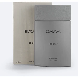 Erkek Ice Grey Hediye Kutulu Erkek Parfüm 100 ml B009103