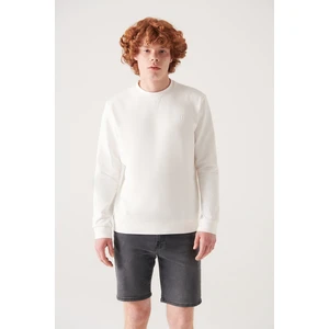 Erkek Ekru Sweatshirt Bisiklet Yaka Pamuklu 2 Iplik Şardonsuz Esnek Comfort Fit E001200
