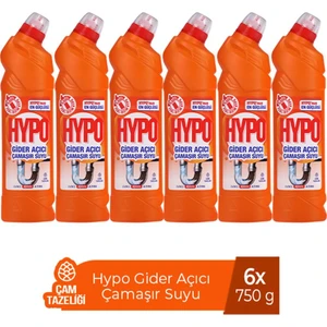 Gider Açıcı Çamaşır Suyu Çam Tazeliği 750 gr x 6 Adet