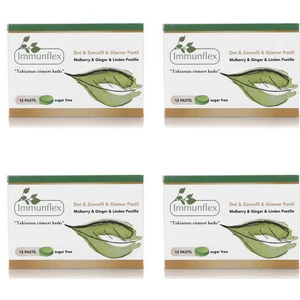 Dut & Zencefil & Ihlamur Pastil x 4 Adet