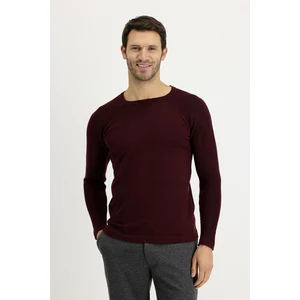 Bisiklet Yaka Slim Fit Dar Kesim Desenli Pamuklu Triko Kazak