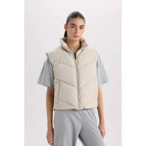 Regular Fit Dik Yaka Kapitoneli Fermuarlı Cepli Şişme Yelek D5759AX25SP