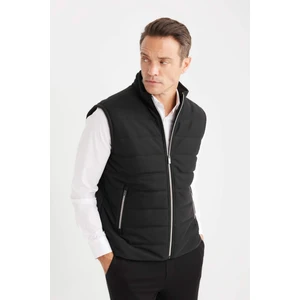 Slim Fit Dar Kesim Dik Yaka Astarlı Fermuarlı Cepli Mevsimlik Baharlık Yelek D7536AX25SP