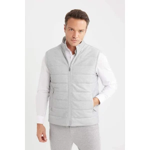 Slim Fit Dar Kesim Dik Yaka Astarlı Fermuarlı Cepli Mevsimlik Baharlık Yelek D7536AX25SP