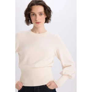 Regular Fit Bisiklet Yaka Basic Düz Triko Kazak F0542AX24CW