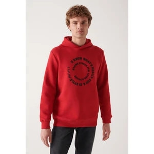 Erkek Kırmızı Kapüşonlu 3 Iplik Şardonlu Baskılı Sweatshirt A22y1110