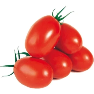 Saksılık Zeytin Domates Tohumu 10 Adet Tohum Kahvaltılık Domates Tohumu