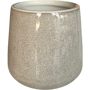 Bjorn Diş Fırçalık D-21142