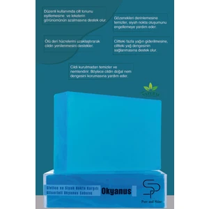 Pure and Shine Siyah Nokta Karşıtı Okyanus Sabunu Bitki Bazlı Formül 1 Adet Tüm Ciltler İçin