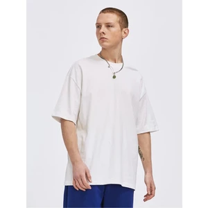 Erkek Oversize Basic Oversize T-Shirt