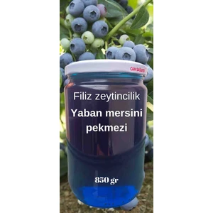 Yaban Mersini Pekmezi