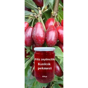 Filiz Zeytincilik Kızılcık Pekmezi