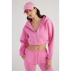 Holly Lolly Kadın Pembe Kapüşonlu Uzun Kol Fermuarlı Crop Mixed Sweat