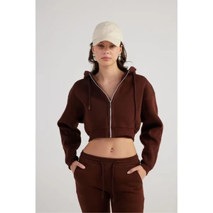 Holly Lolly Kadın Kahverengi Kapüşonlu Uzun Kol Fermuarlı Crop Mixed Sweat