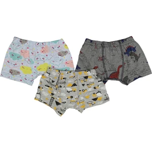 Poli Kids Desenli Erkek Boxer (3 Adet)