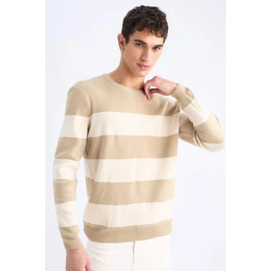 Standart Fit Bisiklet Yaka Triko Kazak D1968AX24AU