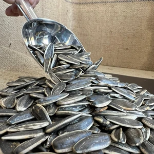 Sağlık Kuruyemiş - Yerli Çiğ Siyah Ay Çekirdeği