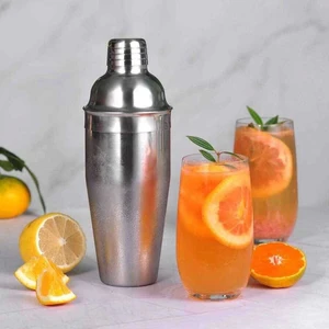 Shaker Çelik 750 ml