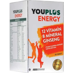 Energy Vitamin Mineral 30 Tablet