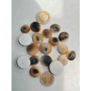 10 Adet Iri Boy Yılancık Taşı