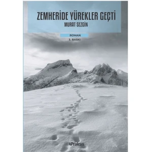 Zemheride Yürekler Geçti - Murat Sezgin