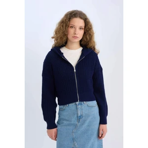 Regular Fit Kapüşonlu Fermuarlı Triko Hırka E2269AXNS