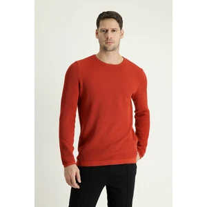 Bisiklet Yaka Slim Fit Dar Kesim Desenli Pamuklu Triko Kazak
