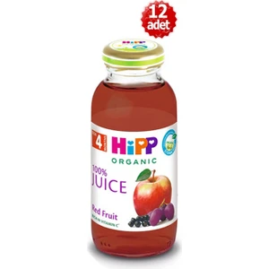 Organik x 12 Adet Kırmızı Meyveli Elma Suyu 200 ml
